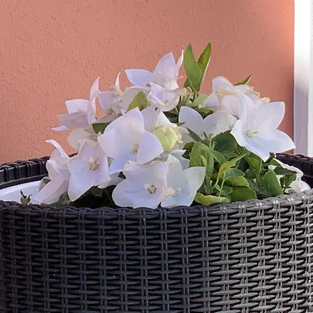 Дом отдыха - Ria House *