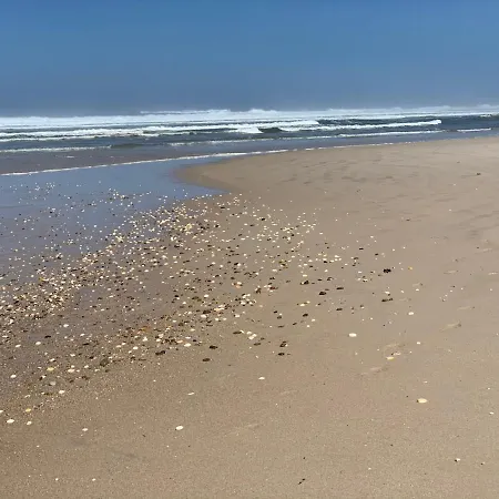 - Ria House * Торрейра