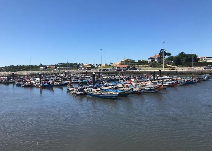 - Ria House * Torreira