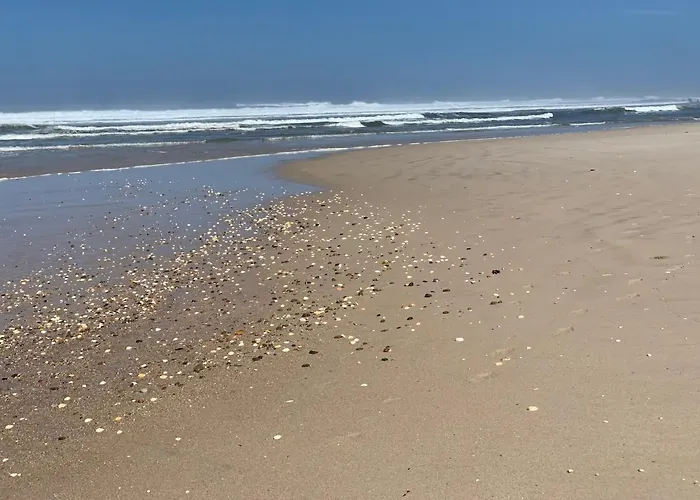 - Ria House * Torreira